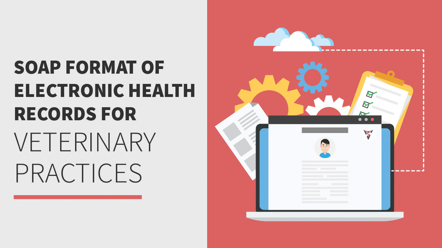 Veterinary SOAP notes format of Electronic Health Records (EMRs) 2024